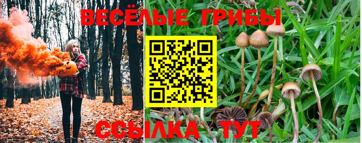 Псилоцибиновые грибы ЛСД  Вход с VPN  Галлюциногенные грибы Psilocybe  Каспийск 